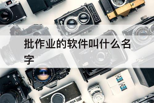批作业的软件叫什么名字