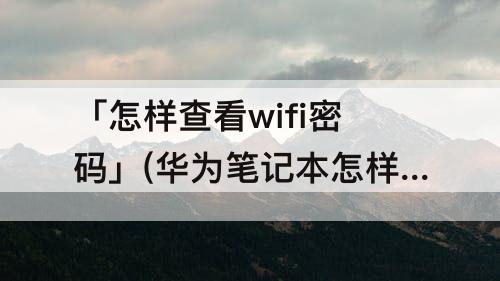 「怎样查看wifi密码」(华为笔记本怎样查看wifi密码)