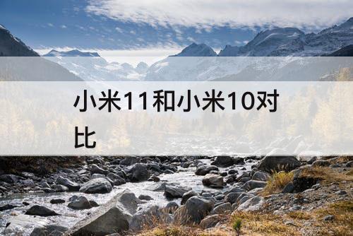 小米11和小米10对比