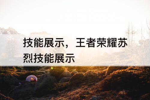 技能展示，王者荣耀苏烈技能展示