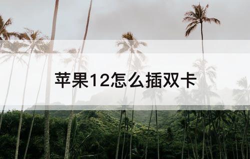 苹果12怎么插双卡