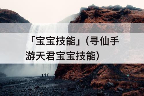 「宝宝技能」(寻仙手游天君宝宝技能)