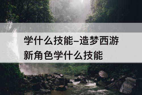 学什么技能-造梦西游新角色学什么技能