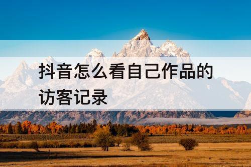 抖音怎么看自己作品的访客记录