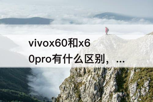 vivox60和x60pro有什么区别，vivox60和x60pro有什么区别处理器