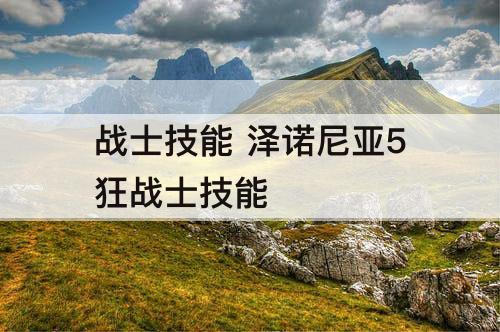 战士技能 泽诺尼亚5狂战士技能