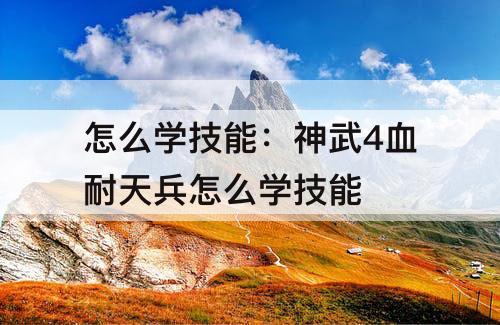 怎么学技能：神武4血耐天兵怎么学技能
