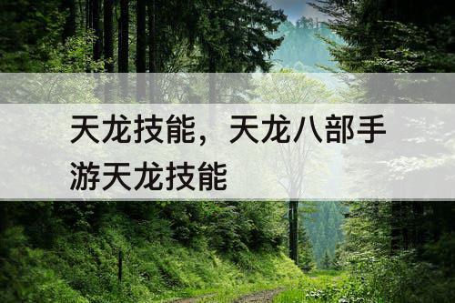 天龙技能，天龙八部手游天龙技能