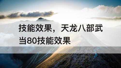 技能效果，天龙八部武当80技能效果