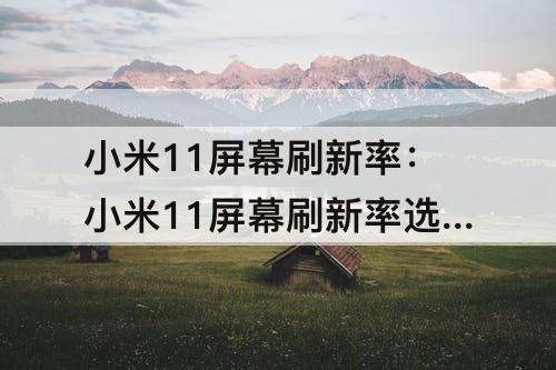 小米11屏幕刷新率：小米11屏幕刷新率选120还是60怎么设置自动