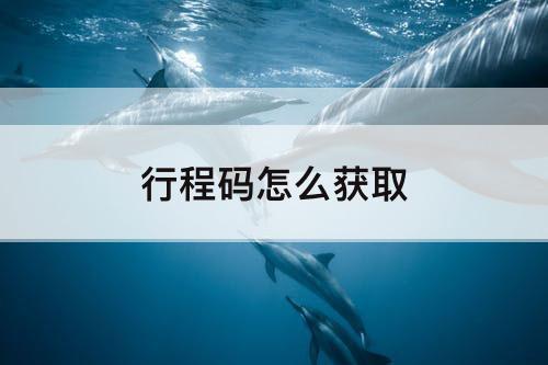 行程码怎么获取