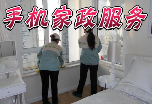 家政