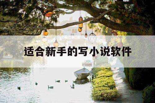 适合新手的写小说软件